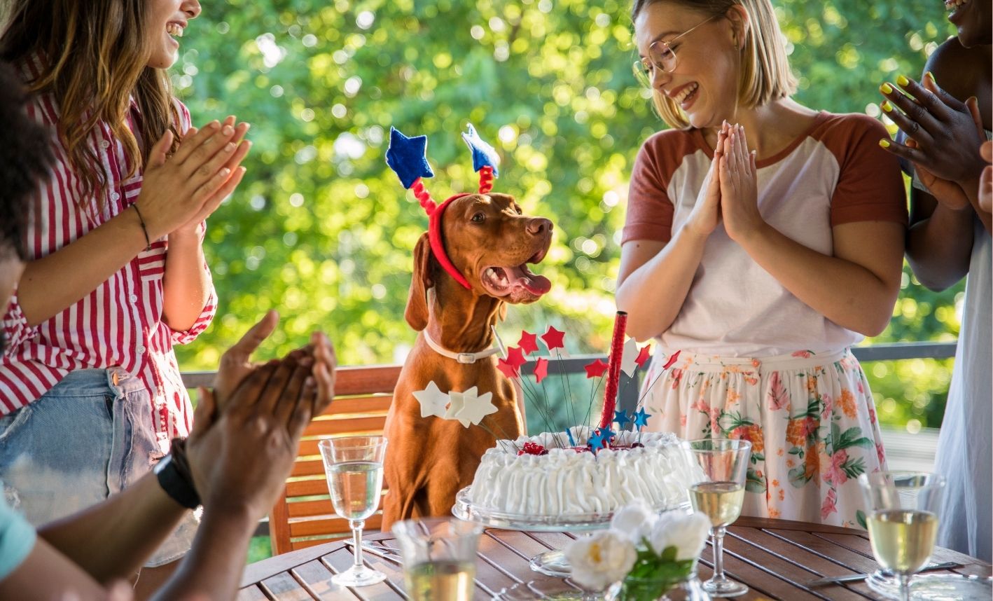 complete-barf-darkove-poukazy-CZ