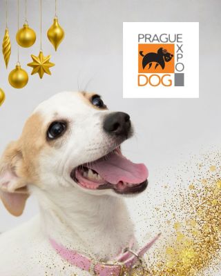 Víkend ve znamení psů se blíží! 🏆✨ Chystáte se na mezinárodní výstavu Trio CACIB v Praze? My tam rozhodně nebudeme chybět!...